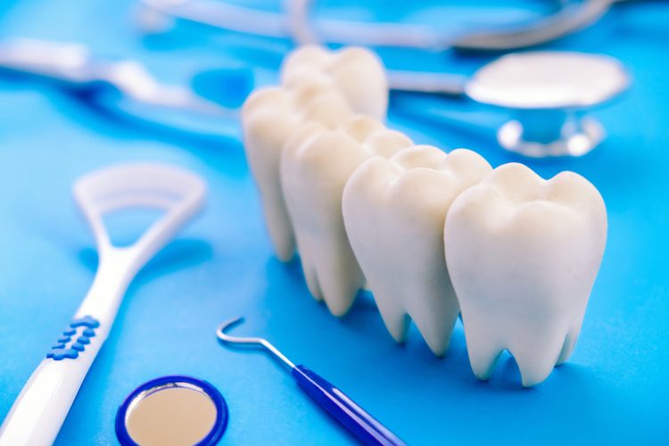 Photo of Dental Model and Dental Equipment