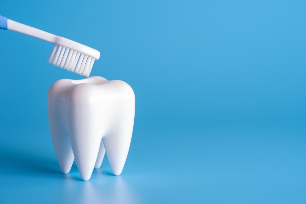Photo of Healthy Tooth